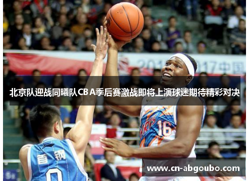 北京队迎战同曦队CBA季后赛激战即将上演球迷期待精彩对决
