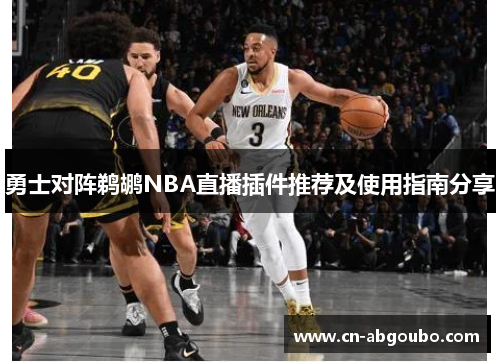 勇士对阵鹈鹕NBA直播插件推荐及使用指南分享